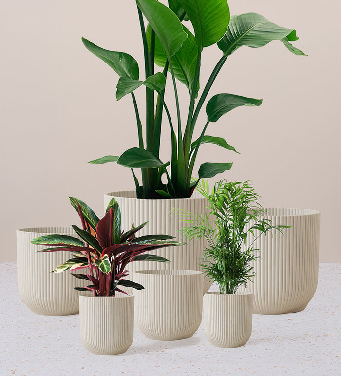 Linen White Elho Vibes Pot (30cm)