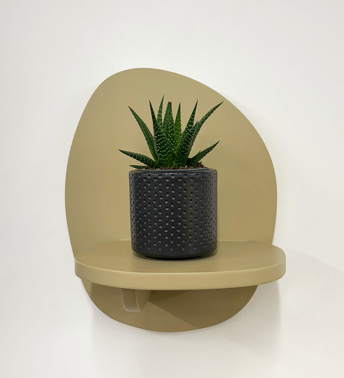 Mini Haworthia & Pot
