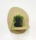Mini String of Pearls & Pot