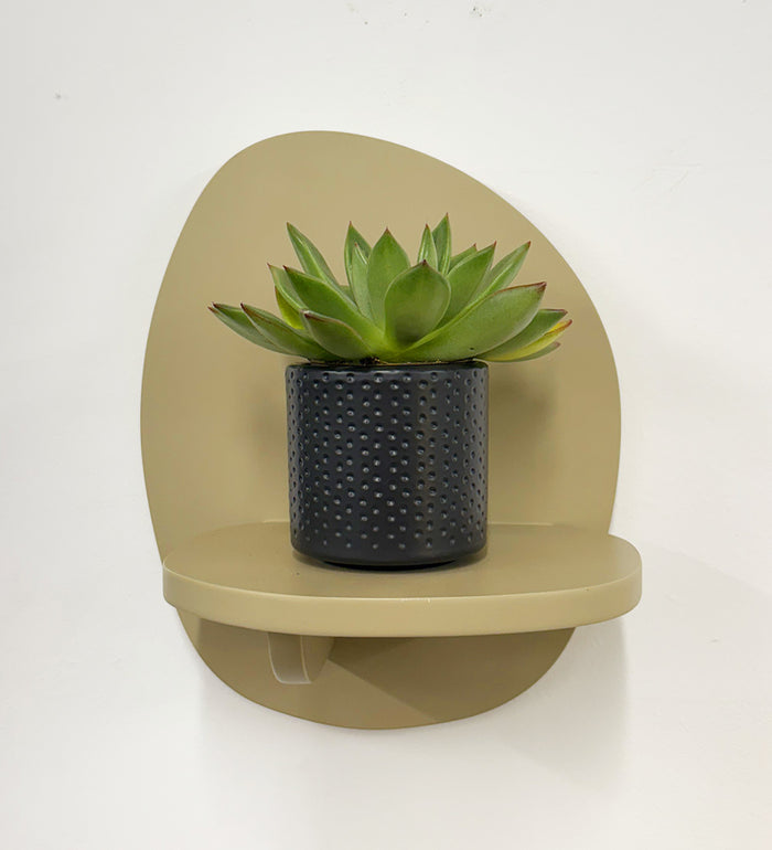 Mini Succulent & Pot