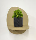 Mini Taco Plant & Pot