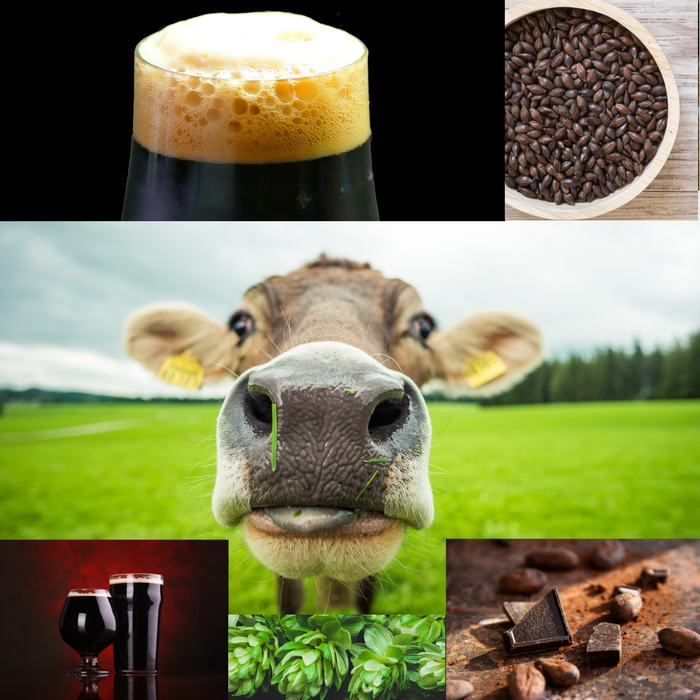 Moo Moo Chocolate Milk Stout 5 Gallon Home Brew Recipe Kit