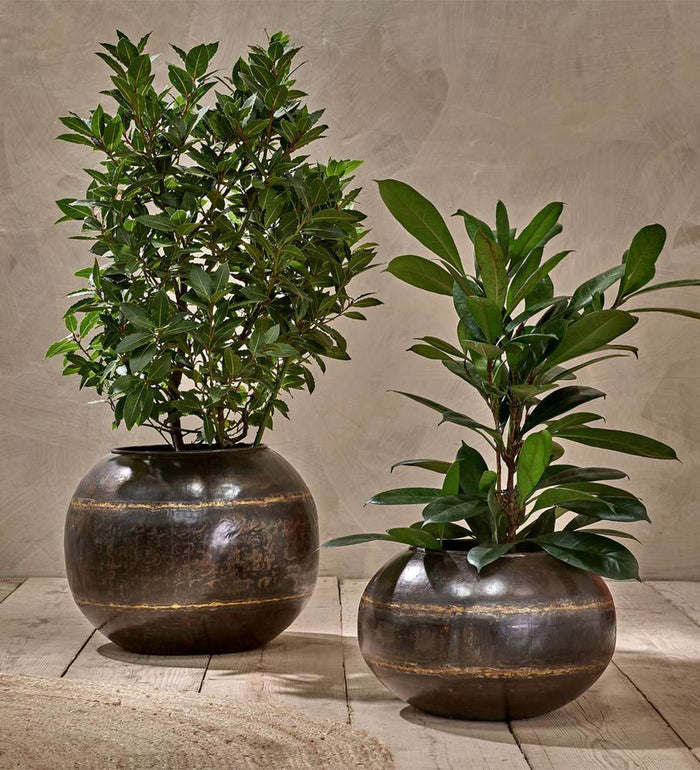 Nkuku Iron Globe Planter
