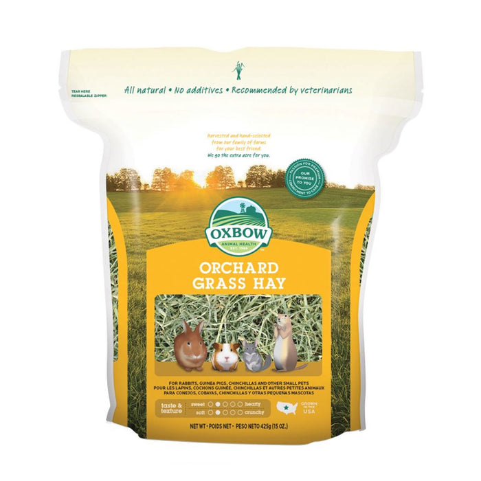 Orchard Grass Hay