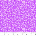 Pizazz Collection - Punchy 10225-83