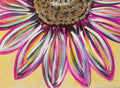 Poppin' Petals