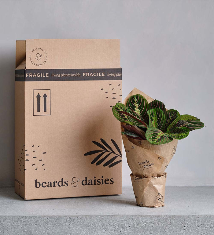 Pre-Lit Artificial 1ft Creston Tree