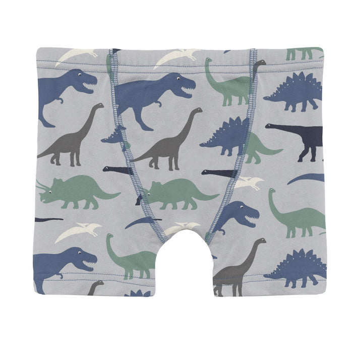 Print Boys Boxer Briefs Dove Dino Museum