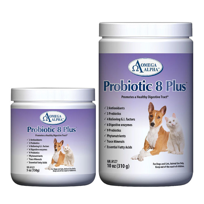 Probiotic 8 Plus