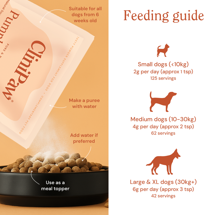 Pumpkin Powder