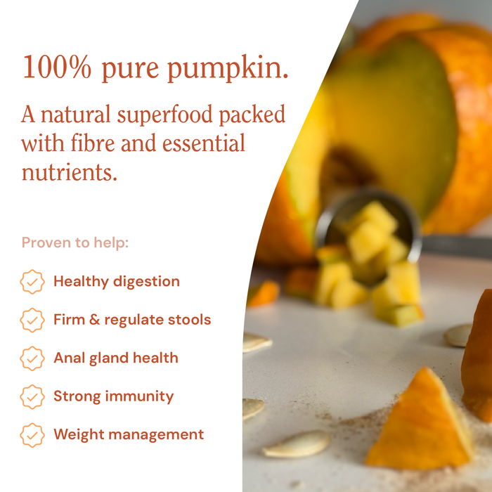 Pumpkin Powder
