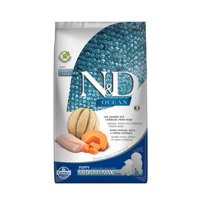 Puppy Cod&Pumpkin Med/M