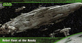 Rebel Fleet At The Ready
