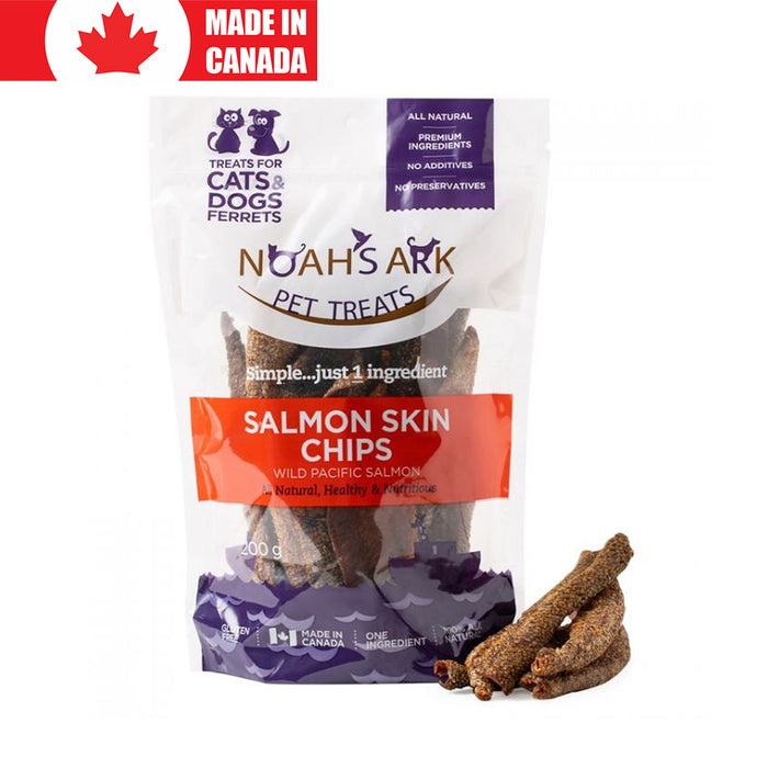 Salmon Skin Chips