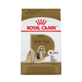Shih Tzu Adult