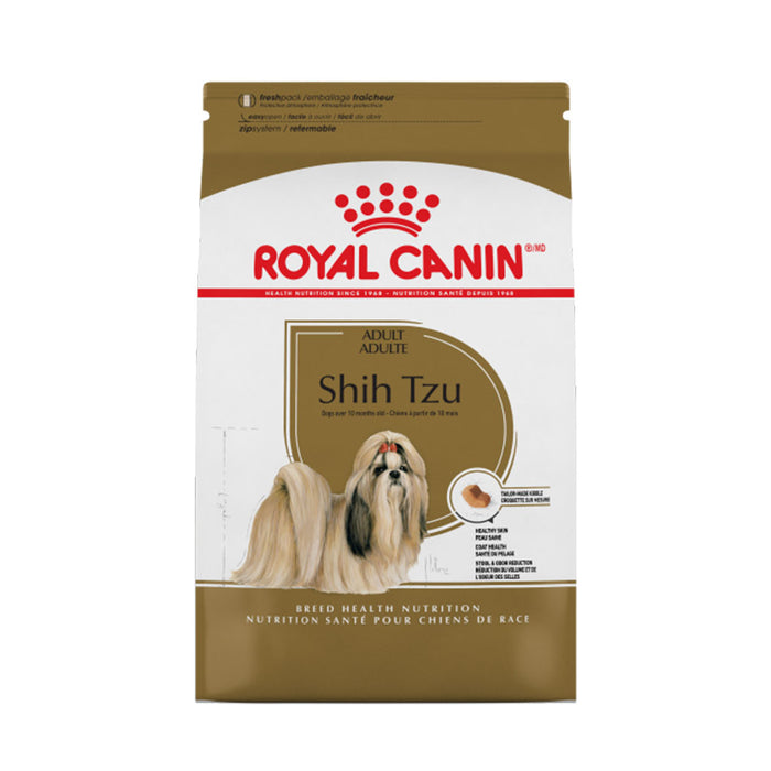 Shih Tzu Adult