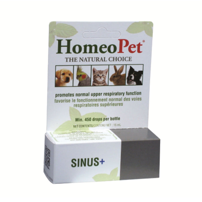 Sinus+