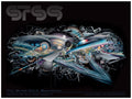 STS9 Oakland - 2012