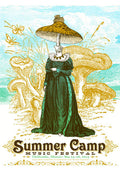 Summer Camp Music Festival - 2013