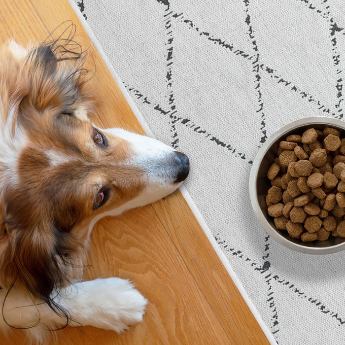SussexHome Pets Ultra-Thin Cat and Dog Litter Mat for Litter Box - Washable Soft Natural Cotton - Slip Resistant