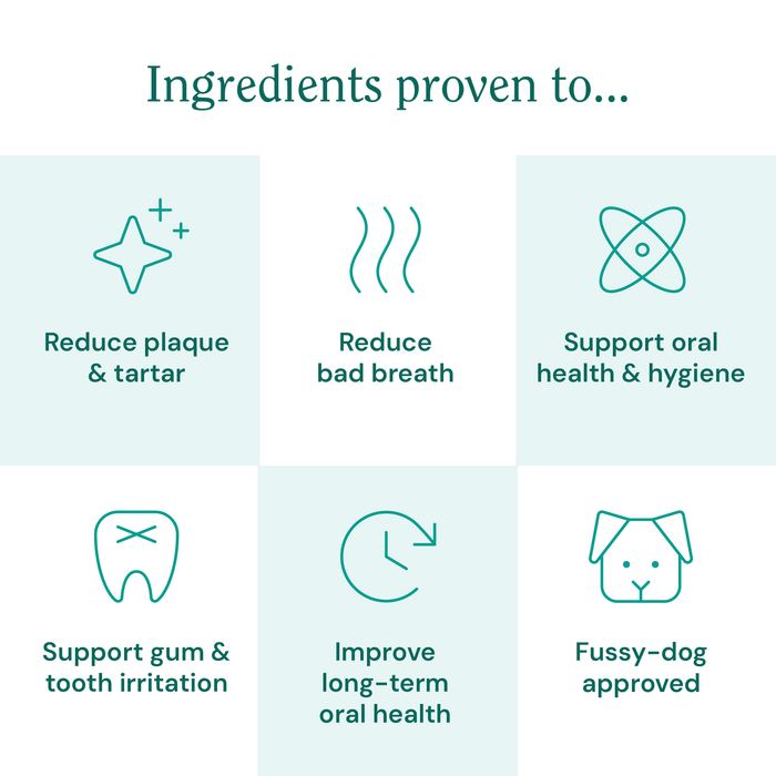 Teeth & Gums