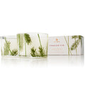 Thymes - Frasier Fir Candle Set - Pine Needle Design