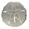 Wall Décor - Sand Dollar Metal